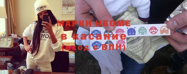 прущие грибы Алзамай
