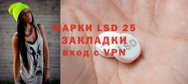 прущие грибы Алзамай