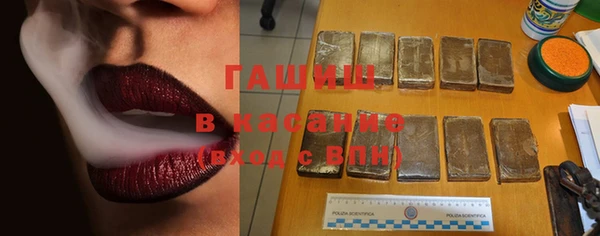 прущие грибы Алзамай