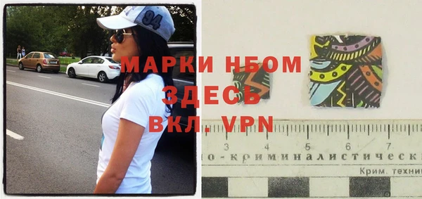 прущие грибы Алзамай