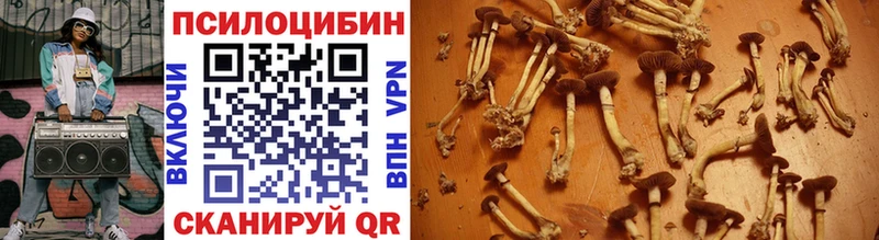Псилоцибиновые грибы ЛСД  наркотики  Усолье-Сибирское 